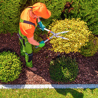 Devis entretien de jardin 88 : sans frais ni engagement