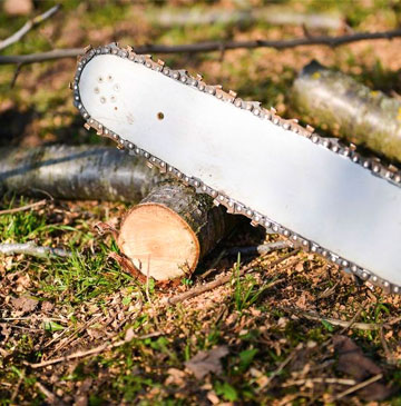 Equipements de notre entreprise émondage d’arbre 88 sur Vosges