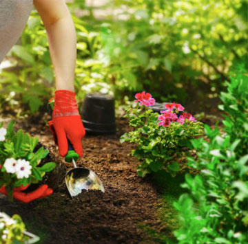 Jardinier aguerri au service de la plantation et entretien de jardin